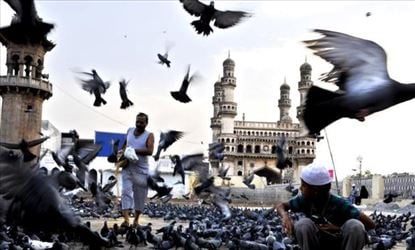 అమ్మో ! అందమైన పావురాలతో అంత ప్రమాదం పొంచి ఉందా ?